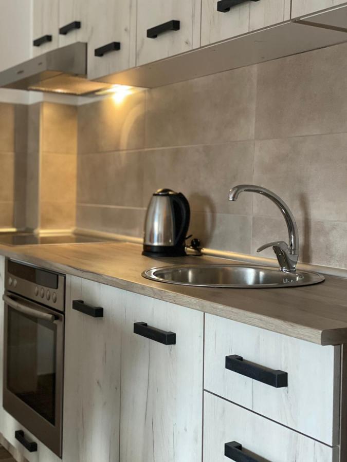 Apartmani Milic บันยา โควิลยาชา ภายนอก รูปภาพ