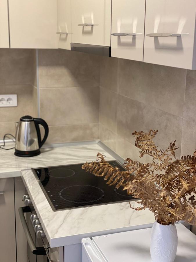 Apartmani Milic บันยา โควิลยาชา ภายนอก รูปภาพ